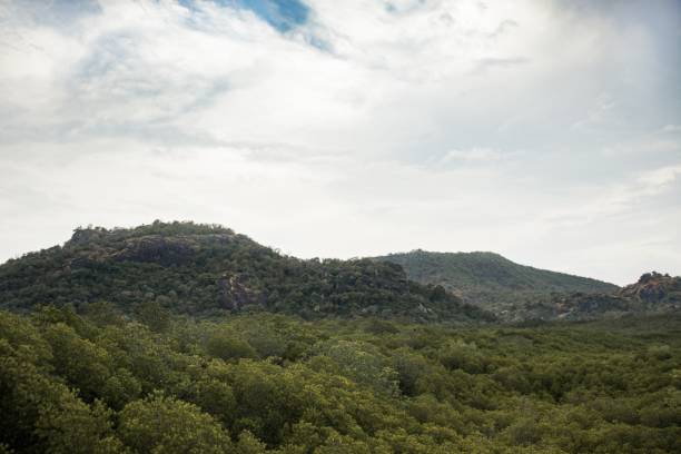 istock Top View Of Forest With Cloudy Sky 1330703898