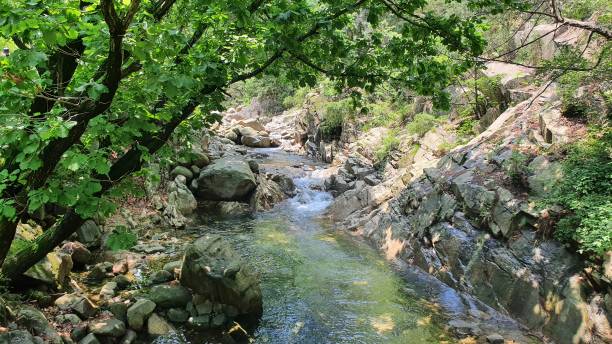 istock The valley in Mt. Kwanaksan 1330704679