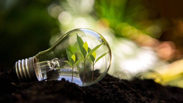 istock Saving energy and environment.  Tree growth in light bulb for saving Ecology energy nature. Eco and Technology concept 1330704962