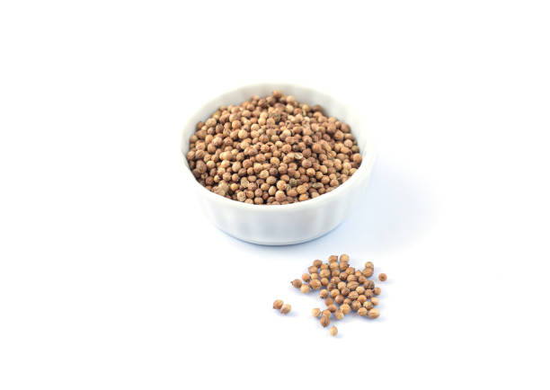 Top view of coriander seeds in a white ceramic bowl placed on a yellow background. The warm tones of the seeds complement the bright surface, emphasizing culinary ingredients and natural spices.