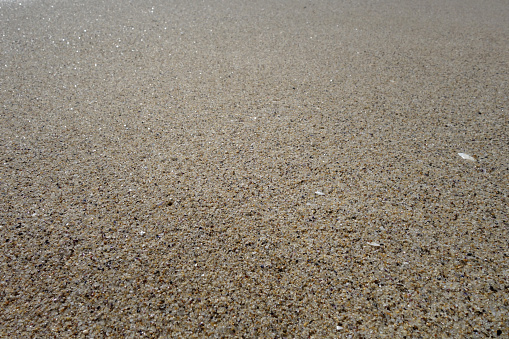 Beach sea sand close-up. Seasonal natural background.