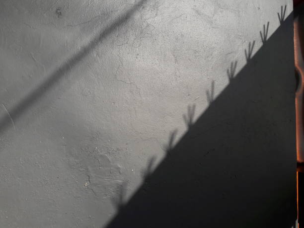 istock iron trellis shadow photo with sunrise background 1330708876