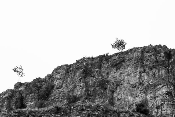 istock Trees in Silhouette on a Hilltop 1330709040