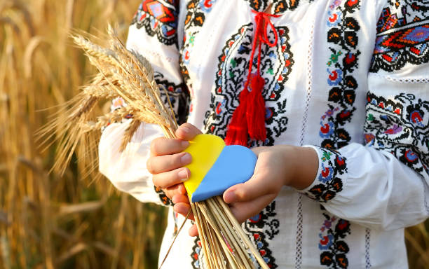 Ukrainian heart carried by a girl. A yellow and blue heart and spikelets of wheat in the hands of a child in an embroidered shirt vyshyvanka. Independence day of Ukraine, Constitution, Flag Ukrainian heart carried by a girl. A yellow and blue heart and spikelets of wheat in the hands of a child in an embroidered shirt vyshyvanka. Independence day of Ukraine, Constitution, Flag ukrainian culture stock pictures, royalty-free photos & images