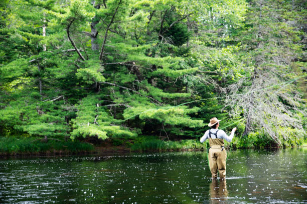 istock Trout fishing trip 1330709802