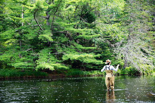 A trout fisherman out on a beautiful trout stream
