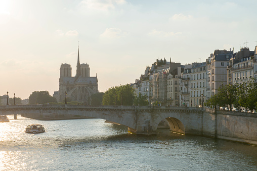 View of the Seine River and Notre Dame de Paris Cathedral