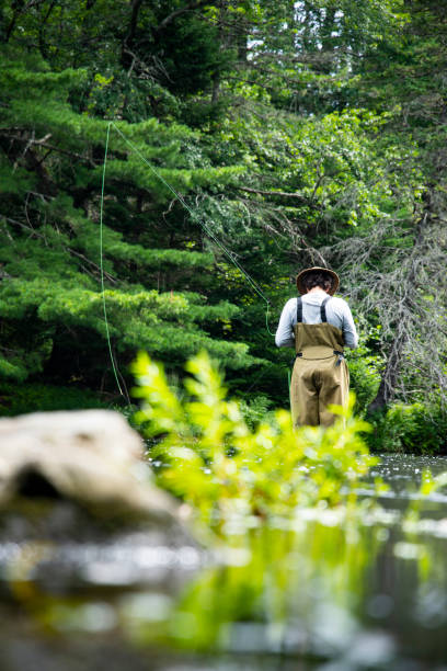 istock Trout fishing trip 1330710814