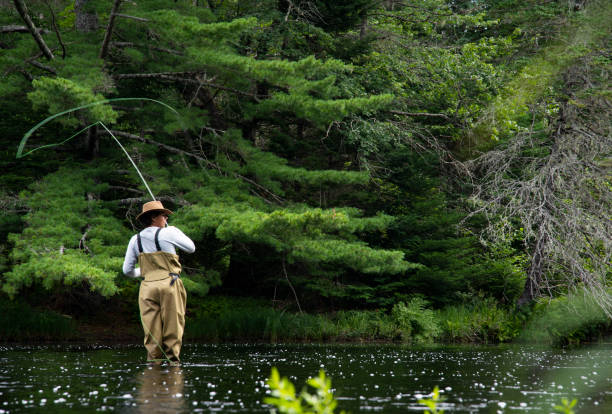 Battuta di pesca alla trota - foto stock