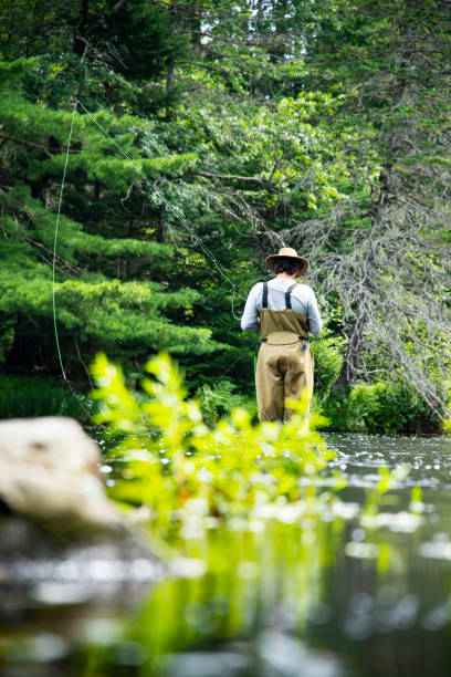 istock Trout fishing trip 1330714755