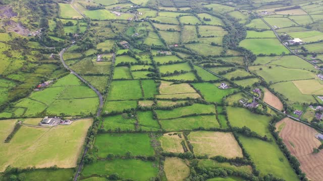 Irish Fields of Agriculture