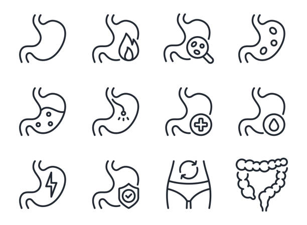 stockillustraties, clipart, cartoons en iconen met stomach ache and pain related editable stroke outline icons set  isolated on white background flat vector illustration. pixel perfect. 64 x 64. - buik
