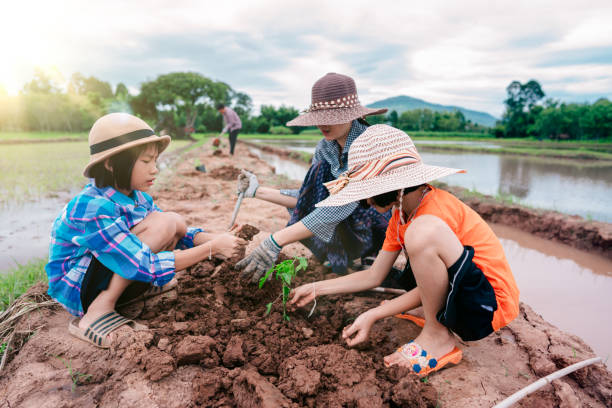 Asian family planting tree for organic farm in rural on sky background stock photo