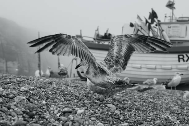 barche da pesca sulla spiaggia di hastings in una giornata nebbiosa e nebbiosa - fishing boat trawler nautical vessel hastings england foto e immagini stock