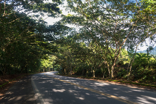 Rio-Santos highway (BR 101) in the Paraty region in the state of Rio de Janeiro