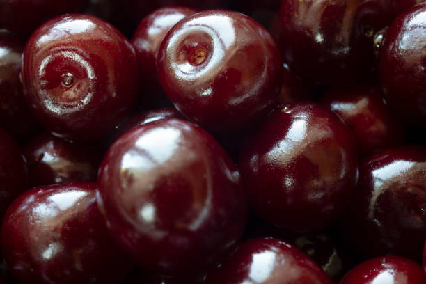 Dark red ripe cherries without peduncle