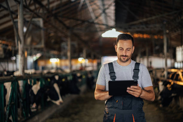 istock Adult man, using a tablet to count down the cows. 1330723861