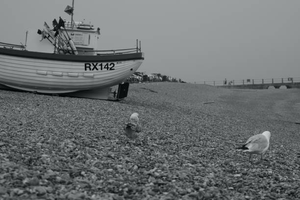 questi pescherecci funzionanti vengono trascinati sulla sabbia in attesa dell'alta marea - fishing boat trawler nautical vessel hastings england foto e immagini stock