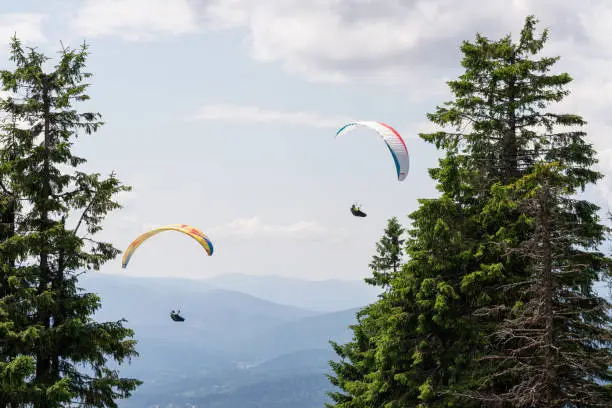 Paragliding from a peak over the mountains on an overcast day,in a highly forested area.