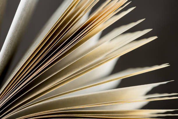 istock open book pages close-up - education and wisdom concept 1330725697