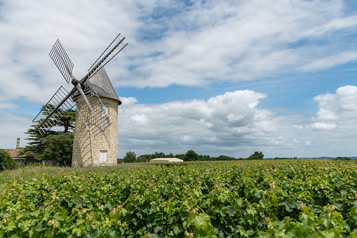 Old mill in the vineyards near Pauillac, Gironde