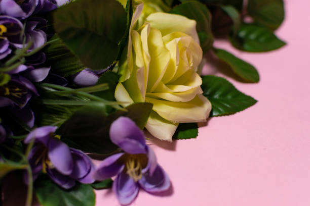 Summer flower background