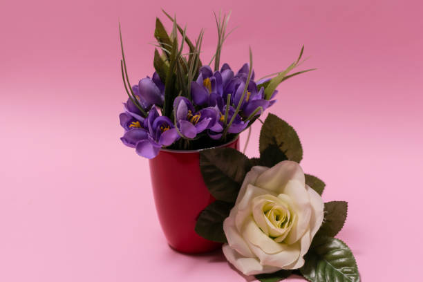 Garden roses in a vase