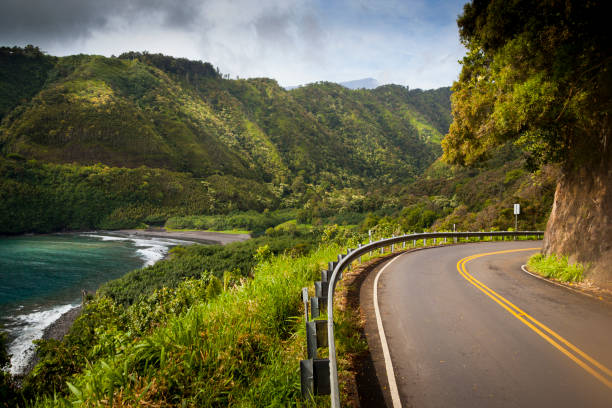 scenic hana highway en la costa este de maui, hawái, ee. uu. - maui fotografías e imágenes de stock