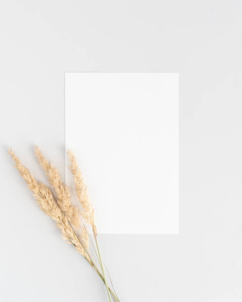 istock Invitation card with pampass grass branches 1330727429