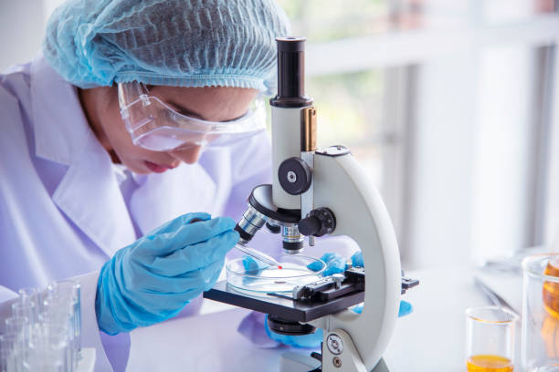 Woman scientist in lab look at science microscope medical test and research biology chemistry. Females technician laboratory analyzing scientific pharmacy genetic research. Chemistry Medical test lab stock photo