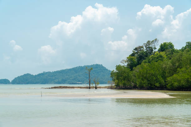 Seascape view of a tropical beach at low tide with white sand, trees, turquoise ocean against blue sky with clouds on sunny summer day. Scenic landscape background for relaxing vacation, Endau, Malaysia vista del paisaje marino de una playa tropical durante la marea baja con arena blanca, árboles, océano turquesa contra cielo azul con nubes en el soleado día de verano. fondo paisajístico escénico para vacaciones relajantes, endau, malasia