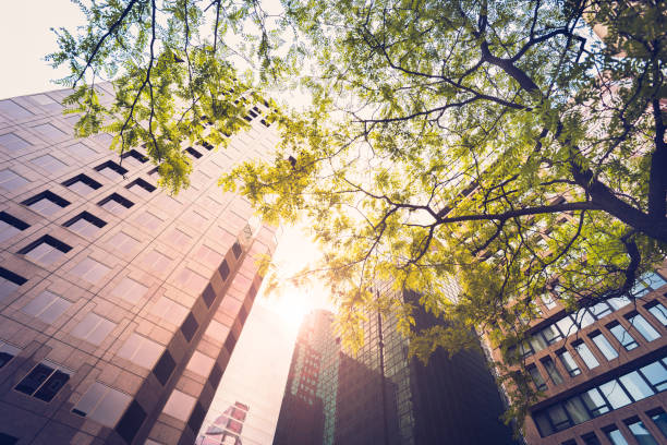 istock Nature in the city 1330731022