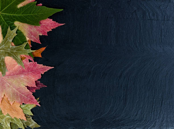istock Autumn decoration with rustic leaves on dark stone 1330731120
