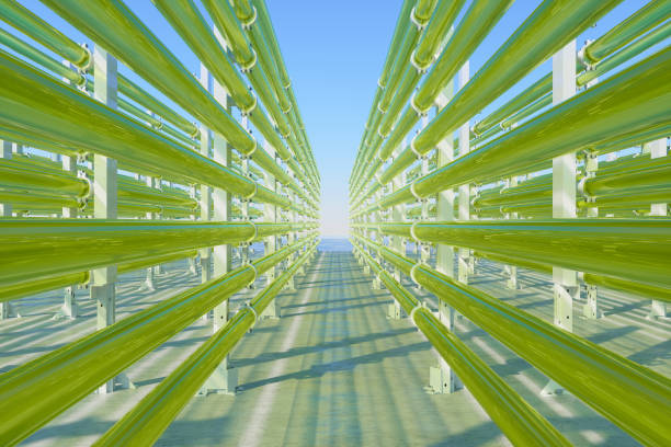 röhrenförmige algen-bioreaktoren, die co2 fixieren, um biokraftstoff als alternativen kraftstoff mit blauem himmelshintergrund herzustellen - pipeline gas pipe pipe natural gas stock-fotos und bilder