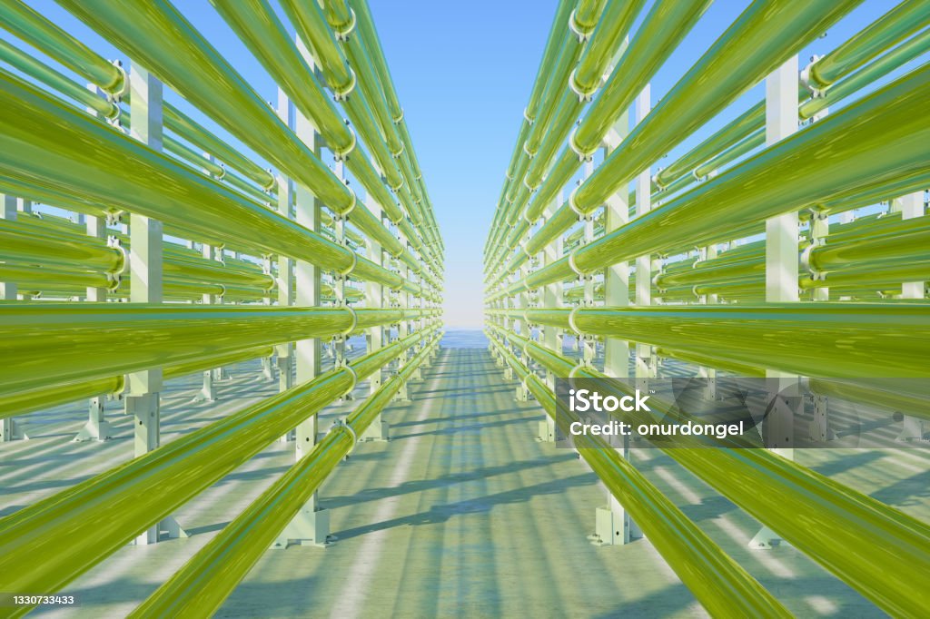 Tubular Algae Bioreactors Fixing CO2 To Produce Biofuel As An Alternative Fuel With Blue Sky Background Sustainable Resources Stock Photo