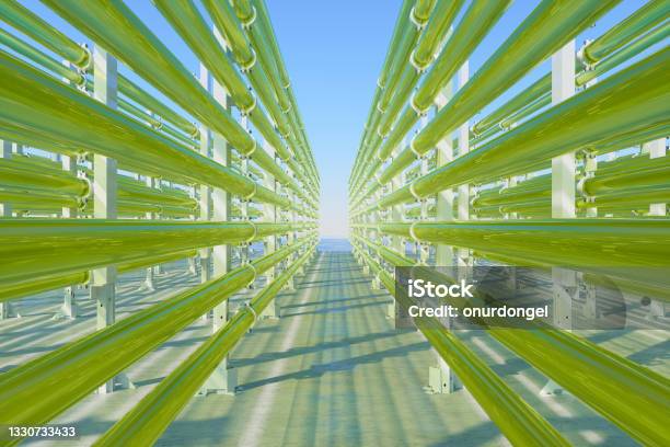 Tubular Algae Bioreactors Fixing Co2 To Produce Biofuel As An Alternative Fuel With Blue Sky Background Stock Photo - Download Image Now