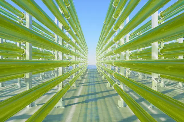 Tubular Algae Bioreactors Fixing CO2 To Produce Biofuel As An Alternative Fuel With Blue Sky Background