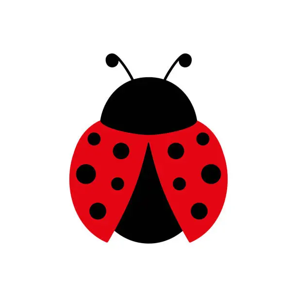 Vector illustration of Ladybug cute character. Ladybird insect with open wings.