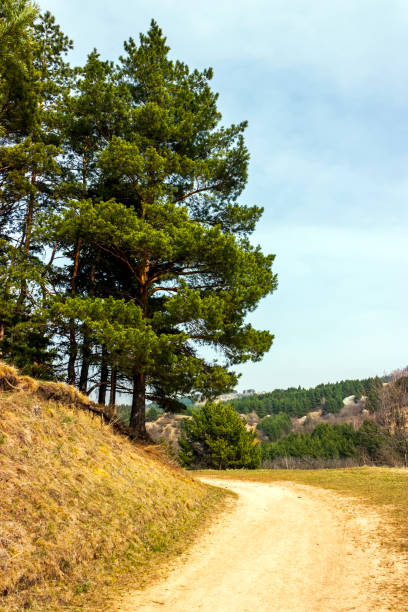 istock Autumn landscape in park. 1330734827