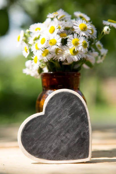 istock Heart shaped sign with space for greeting text, natural outdoors background 1330734905