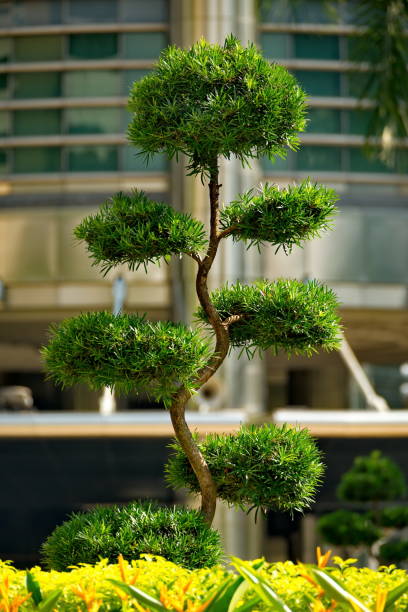 istock Surreal floristry in parks 1330735658