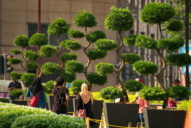 Kuala Lumpur. Malaysia. November 24, 2018.  Numerous tourists walk among the decorative surreal trees in the park in front of the entrance to the Petronas Twin Towers.