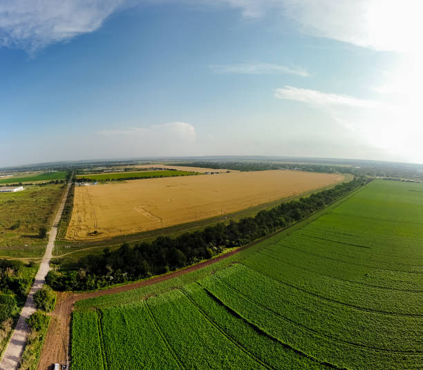 istock Wide angle panorama of corn and wheat fields, drone DJi Mavic mini 2 aerial view 1330744989