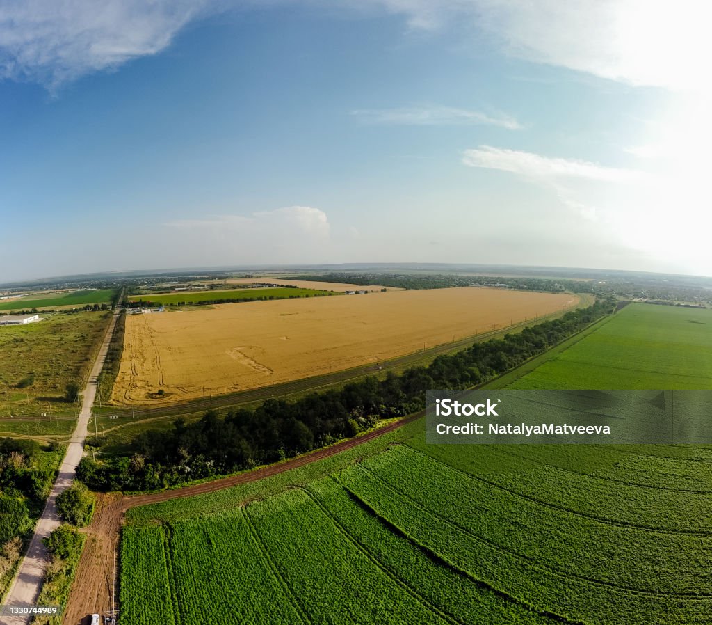 Wide angle panorama of corn and wheat fields, drone DJi Mavic mini 2 aerial view Above Stock Photo