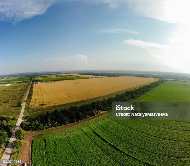 Wide Angle Panorama Of Corn And Wheat Fields Drone Dji Mavic Mini 2 Aerial View Stock Photo - Download Image Now