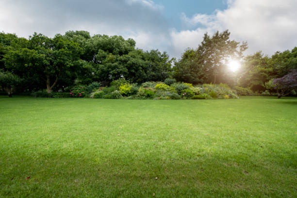 istock Lawn by West Lake, Hangzhou, China 1330747896