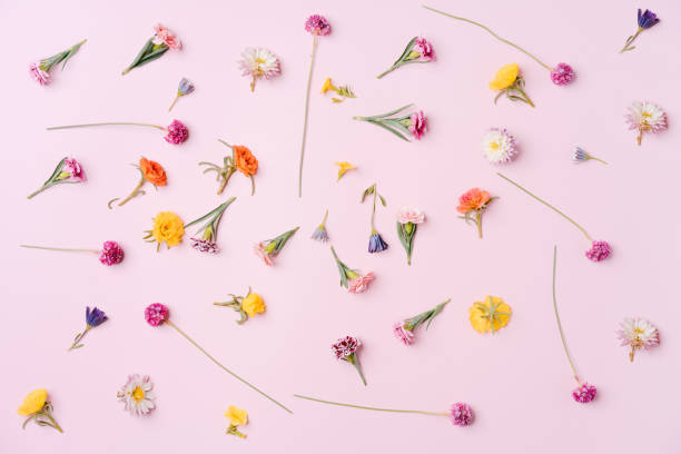 istock Composition of mixed flowers on pink background. top view, copy space. 1330751002