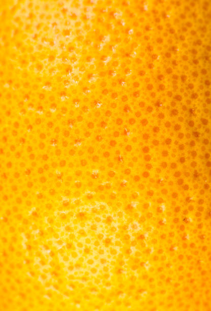 Close up photo of Grapefruit peel texture. Exotic ripe fruit, orange background, macro view. Human skin problem concept, acne and cellulite. Beautiful nature wallpaper.