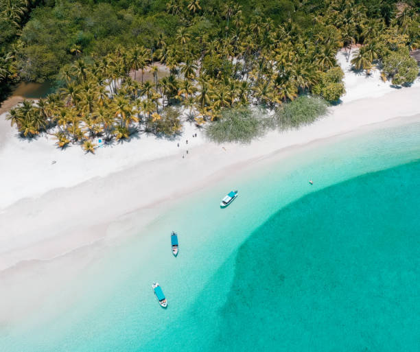 istock Beach in Coiba Nationalpark in Panama 1330758751
