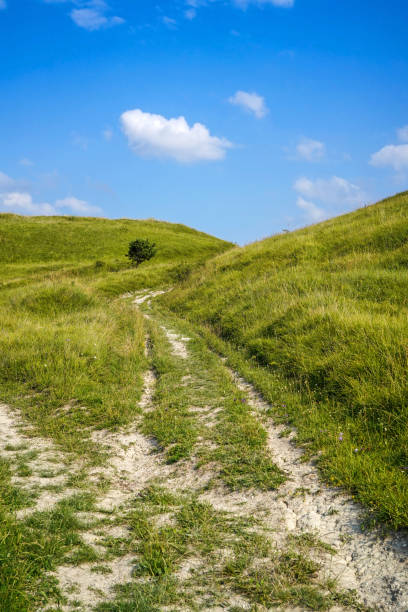 istock dirt road in summer field and blue sky 1330759723